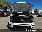 New 2025 Ford F-150 XLT SuperCrew Cab 4WD Pickup for sale #F04918 - photo 22