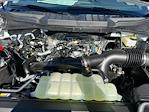 2024 Ford F-150 Regular Cab 4x4 Pickup for sale #F52848 - photo 33