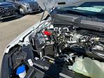 2024 Ford F-150 Regular Cab 4x4 Pickup for sale #F52848 - photo 34