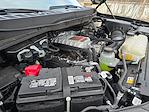 2024 Ford F-150 SuperCrew Cab 4WD Pickup for sale #PA19703A - photo 32