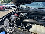 2024 Ford F-150 SuperCrew Cab 4x4 Pickup for sale #PD18991 - photo 18