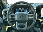 2024 Ford F-150 SuperCrew Cab 4WD, Pickup for sale #F24449 - photo 15