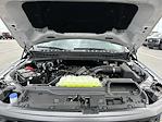 2025 Ford F-150 SuperCrew Cab 4WD Pickup for sale #F25071 - photo 34