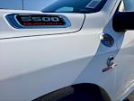 New 2025 Ram 5500 Tradesman Crew Cab 4x4 60 CA Cab Chassis for sale #125063 - photo 9
