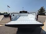 2025 Ram 3500 Regular Cab 4x4 Pickup for sale #LR20031 - photo 22