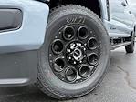 2025 Ford F-250 Crew Cab 4x4 Pickup for sale #M01343 - photo 25
