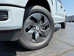 2025 Ford F-150 SuperCrew Cab 4x4 Pickup for sale #M01509 - photo 27