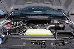 2025 Ford F-150 SuperCrew Cab 4WD Pickup for sale #M01509 - photo 20