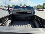 2025 Ford F-150 SuperCrew Cab 4x4 Pickup for sale #M01510 - photo 29