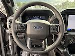 2025 Ford F-150 SuperCrew Cab 4x4 Pickup for sale #M01564 - photo 24