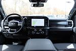 2024 Ford F-250 Crew Cab 4WD Pickup for sale #M01870A - photo 11