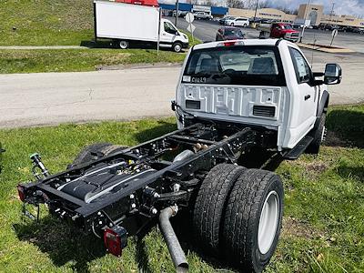 2025 Ford F-600 Regular Cab DRW 4x4 Cab Chassis for sale #25F1176 - photo 2