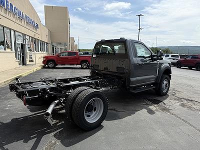 2025 Ford F-600 Regular Cab DRW 4x4 Cab Chassis for sale #C25F1533 - photo 2