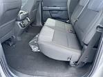 New 2025 Ford F-150 STX SuperCrew Cab 4x4 Pickup for sale #A1715 - photo 12