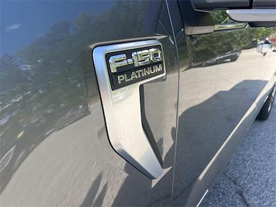 New 2025 Ford F-150 - photo 1