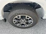 2025 Ford F-150 SuperCrew Cab 4x2 Pickup for sale #A1880 - photo 22