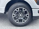 2025 Ford F-150 SuperCrew Cab 4x2 Pickup for sale #A1911 - photo 23