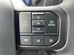 2025 Ford F-150 SuperCrew Cab 4x2 Pickup for sale #A1937 - photo 20