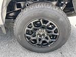New 2025 Ford F-150 XLT SuperCrew Cab 4x4 Pickup for sale #A1952 - photo 6