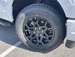 2025 Ford F-150 SuperCrew Cab 4x4 Pickup for sale #A1955 - photo 9