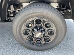 2025 Ford F-250 Crew Cab 4x4 Pickup for sale #A2078 - photo 7
