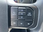 2025 Ford F-150 SuperCrew Cab 4x2 Pickup for sale #A2093 - photo 17