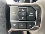 2025 Ford F-250 Crew Cab 4x4 Pickup for sale #A2165 - photo 19