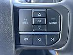 New 2025 Ford F-150 Tremor SuperCrew Cab 4x4 Pickup for sale #A2208 - photo 11