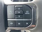 2025 Ford F-250 Crew Cab 4WD Pickup for sale #A2226 - photo 10