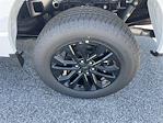2025 Ford F-150 SuperCrew Cab 4x4 Pickup for sale #A2239 - photo 22