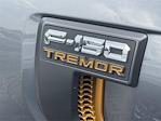 New 2025 Ford F-150 Tremor SuperCrew Cab 4x4 Pickup for sale #A2309 - photo 22