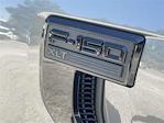 New 2025 Ford F-150 XLT SuperCrew Cab 4WD Pickup for sale #A2451 - photo 22