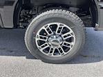New 2026 Ford F-250 Platinum Crew Cab for sale #A2461 - photo 21