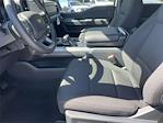 New 2025 Ford F-150 XLT SuperCrew Cab 4WD Pickup for sale #A2463 - photo 17