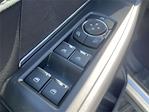 New 2025 Ford F-150 XLT SuperCrew Cab 4WD Pickup for sale #A2516 - photo 17