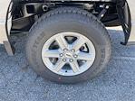 New 2025 Ford F-150 XLT SuperCrew Cab 4WD Pickup for sale #A2524 - photo 21