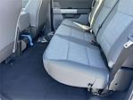 New 2025 Ford F-150 XLT SuperCrew Cab Pickup for sale #A2530 - photo 20