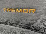 New 2025 Ford F-150 Tremor SuperCrew Cab 4WD Pickup for sale #A2564 - photo 13