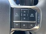 New 2026 Ford F-250 Platinum Crew Cab for sale #A2699 - photo 11