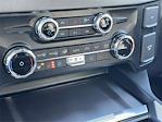 New 2026 Ford F-250 Platinum Crew Cab for sale #A2864 - photo 9