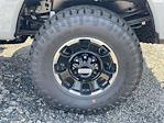New 2026 Ford F-250 Platinum Crew Cab for sale #A2985 - photo 21