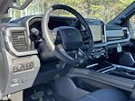 New 2026 Ford F-250 Platinum Crew Cab for sale #A3001 - photo 14