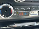 2024 Ford F-250 Crew Cab 4x4 Pickup for sale #AD1237 - photo 10
