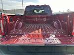2024 Ford F-250 Crew Cab 4x4 Pickup for sale #AD1249 - photo 24