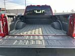 2024 Ford F-350 Crew Cab SRW 4x4 Pickup for sale #AD1273 - photo 21