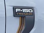 2025 Ford F-150 SuperCrew Cab 4x4 Pickup for sale #AD1377 - photo 24