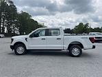 2025 Ford F-150 SuperCrew Cab 4x4 Pickup for sale #AD1387 - photo 28
