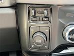 2024 Ford F-250 Crew Cab 4x4 Pickup for sale #AD1397 - photo 17