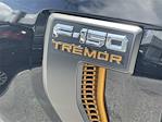 New 2025 Ford F-150 Tremor SuperCrew Cab 4x4 Pickup for sale #AD1465 - photo 21