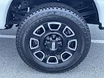 New 2026 Ford F-350 Platinum Crew Cab for sale #AD1778 - photo 21